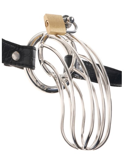 Cage de chasteté pour pénis The Prisoner 