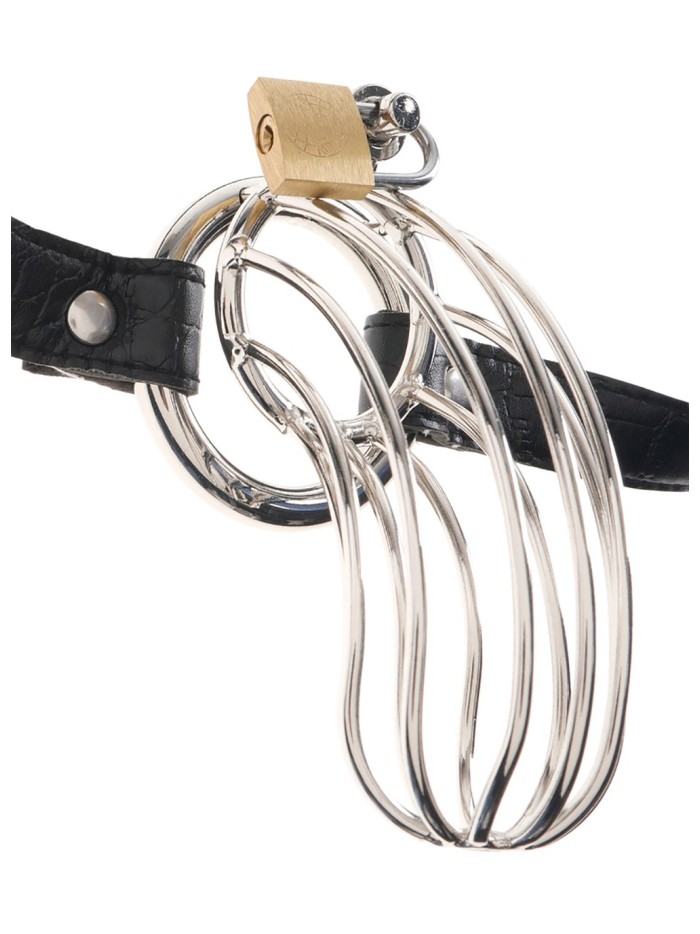 Cage de chasteté pour pénis The Prisoner 