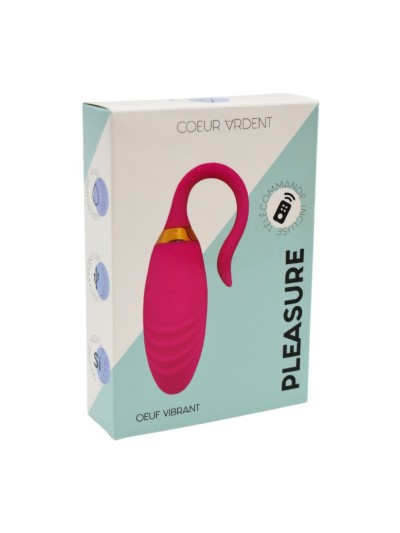 PLEASURE, Un Œuf vibrant USB avec télécommande, dans un silicone médical doux et rainuré 