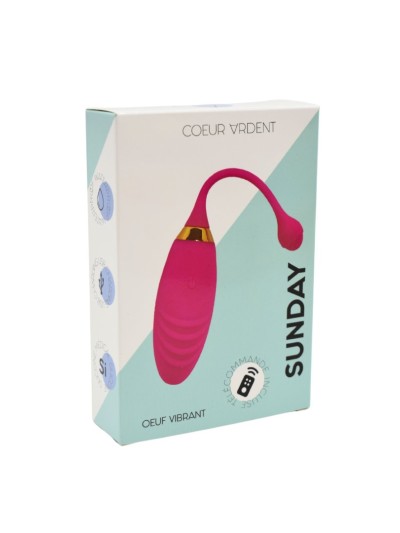SUNDAY, Un Œuf vibrant USB avec télécommande, dans un silicone médical doux et rainuré 