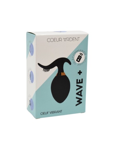 WAVE , Un Œuf vibrant noir USB avec stimulation clitoridienne, doté d'une télécommande 