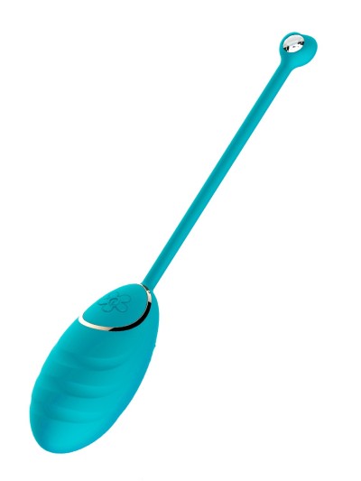 Œuf vibrant bleu avec télécommande USB 