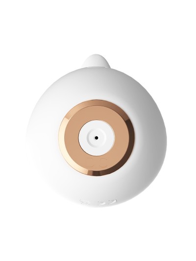 Stimulateur multifonction USB Renard 