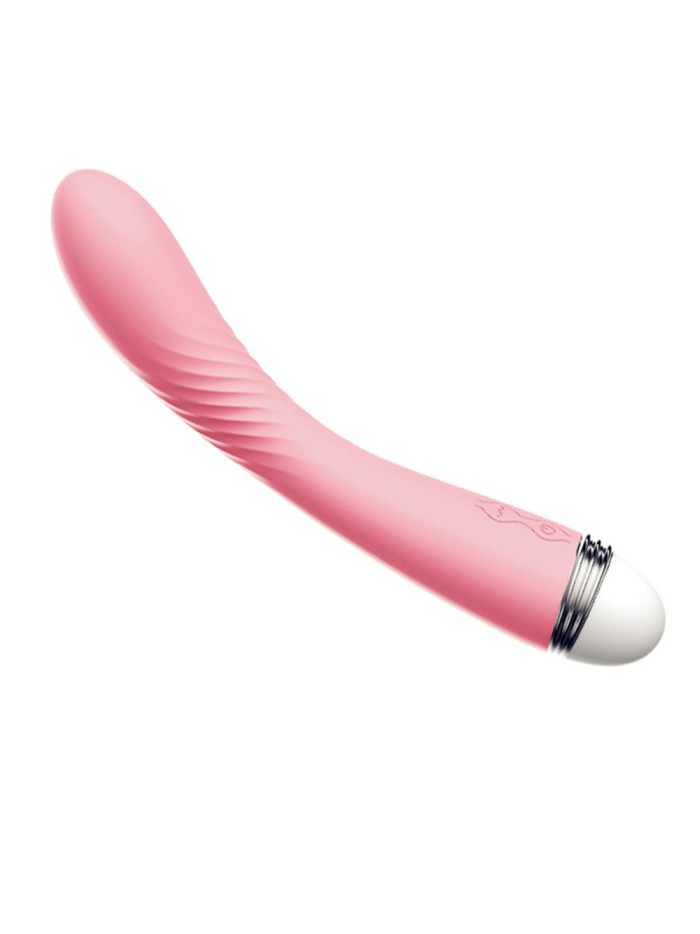 Vibromasseur rose vintage 10 vitesse USB 