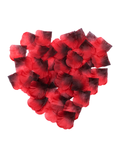 Pack de 100 Pétales de Rose