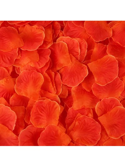 Pack de 100 Pétales de Rose