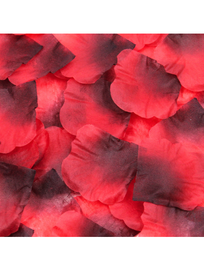 Pack de 100 Pétales de Rose