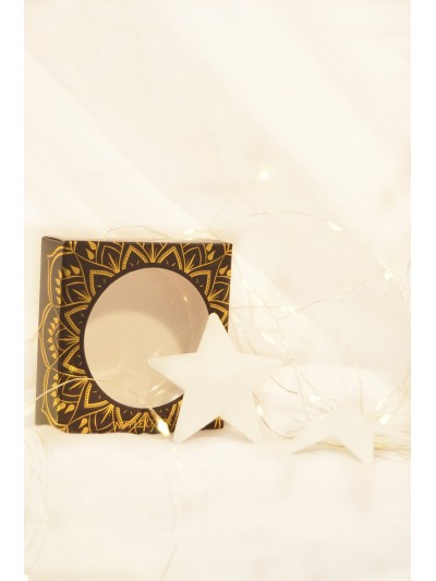 Nipple Métal blanc Cache tétons d'étoile 