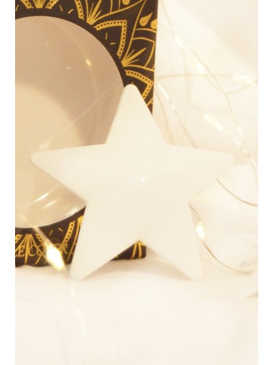 Nipple Métal blanc Cache tétons d'étoile 