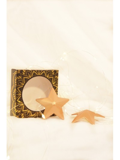 Nipple Métal doré Cache tétons étoile 