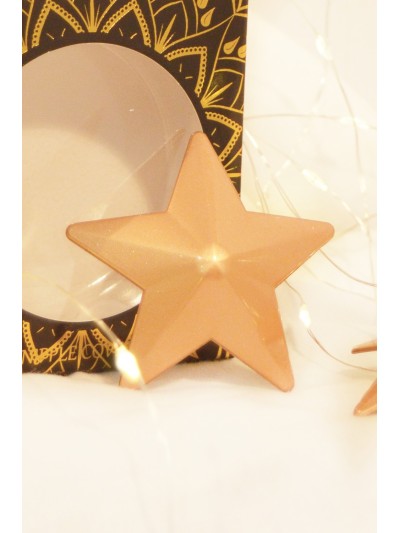 Nipple Métal doré Cache tétons étoile 