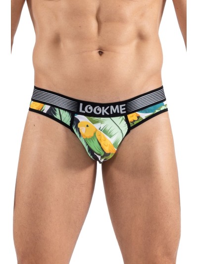 String imprimé oiseau chanteur, Bird Singer 