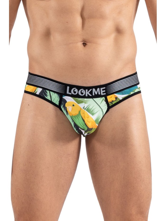 String imprimé oiseau chanteur, Bird Singer 