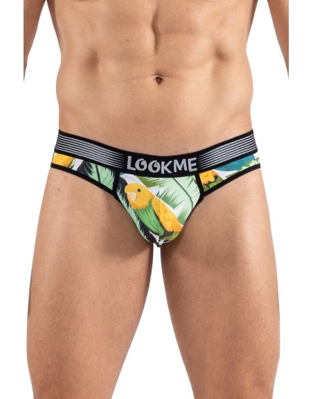 String imprimé oiseau chanteur, Bird Singer 