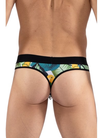 String imprimé oiseau chanteur, Bird Singer 