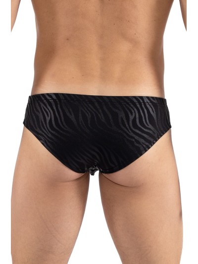 minipant noir  gold Zebra 