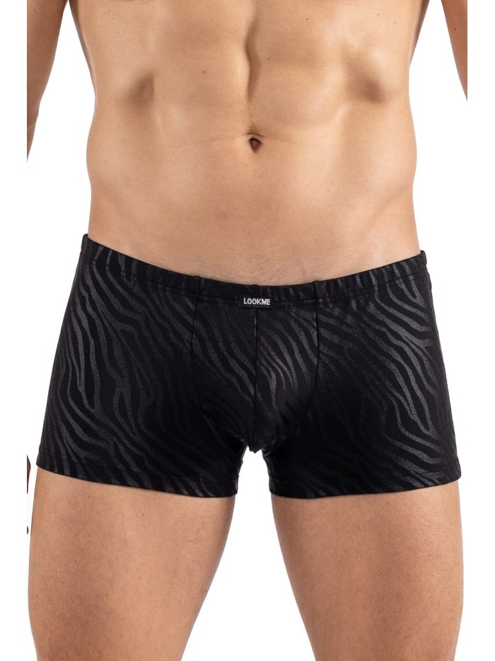 Boxer noir  gold Zebra 